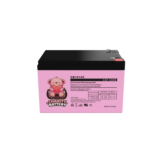 Recharageable 12V DC 12Ah/20Hr Battery B5/12 BS130N