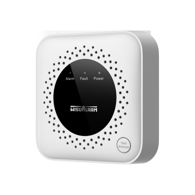 Wisualarm Natural Gas Alarm